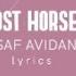 Asaf Avidan Lost Horse Letra Lyrics