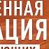 Направленная медитация для начинающих с Димой Елистратовым