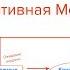 Социальная фобия Когнитивно поведенческая модель психотерапии социофобии Ярослав Исайкин