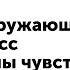 3 класс Окружающий мир Органы чувств Повторение