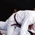 The Best Mount Escape Bjj Jiujitsu Brazilianjiujitsu