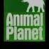 Заставка Animal Planet 2006 2008 The Animals Save The Planet