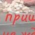 знакомства стажёра с Ситраком первая зима первый гололёд много дтп почти доехали до кз