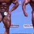 68th IFBB Men S World Amateur Bodybuilding Championships 85kg Top 15