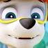 Cuccioli Sulla Spiaggia PAW Patrol Italiano