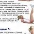 Око Возрождения Пять Тибетцев 5 Тибетских Жемчужин или как Обрести Молодость