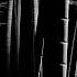 Maarten De Jong Bamboo Extended Mix