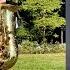 Glimpse Of Us Joji Alto Saxophone Cover By Josh Durke Sax