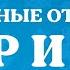 Как отличить задержки психического развития от умственной отсталости