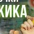 ЛУЧШИЕ продукты для МУЖИКА Учимся выстраивать правильное питание на каждый день