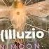 Ovnimoon Aural Bird Illuzio Remix