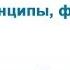 Демократия понятие принципы формы и типы демократии Демократический политический режим