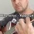 Наутилус Крылья