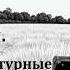 Сергей Довлатов Номенклатурные полуботинки Аудиорассказ из цикла Чемодан