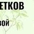 Алексей Цветков Последний конвой