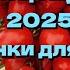 Томаты Часть 3 Мои покупки к сезону 2025