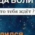 Матрица судьбы о чем говорит дата рождения 5 декабря цель и ресурсы для ее достижения