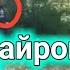 Кори Зубайдулло ба Овоз хамаро хайрон кард