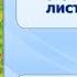 Тема 28 Внутреннее строение листа Листопад