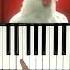 J Geco Chicken Song Piano Easy Shorts Chickensong Pianocover Pianotutorial