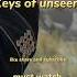 5 Keys Of Unseen Islamic Islamicstatus Shorts Youtubeshorts Viral Deeni