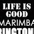 Life Is Good Marimba Ringtone Drake Future