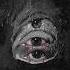 FOR SALE BEAT VOSTOK Amblyopia SCARLXRD TYPE BEAT SIDXRAM TYPE BEAT 2018