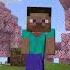 Poi Poi Poi Baby Steve Minecraft Shorts