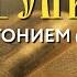 Толкование Евангелия с митр Антонием Паканичем Пятница 1 ноября 2024 года