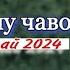 Хочи Мирзо саволу чавоб 9 май 2024