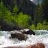 Sound Of Mountain Stream Flowing Relaxing Nature Sounds Flowing Water White Noise For Sleeping