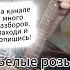 Белые розы Ласковый май на гитаре разбор