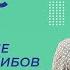 Многообразие и значение грибов Видеоурок 24 Биология 5 класс