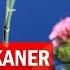 How To Grow Oleander From Cuttings Growing Kaner Nerium Oleander Cuttings And Care In English