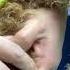 How To Dremel A Dog S Nails Without Drawing Blood
