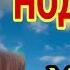 ХОЧИ МИРЗО ЗАНИ НОДУХТАР
