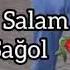 Qoy Partlasin