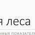 Таксация леса 1 3 курс Лесное дело