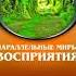 Параллельные миры восприятия Верищагин Д С Школа ДЭИР по методикам Д С Верищагина Аудиокнига