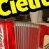 Cielito Lindo Accordion Performance