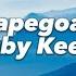 Scapegoats Baby Keem Lyrics