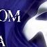 PHANTOM OF THE OPERA Music Of The Night KARAOKE Instrumental With Lyrics On Screen