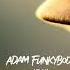 Adam Funkybody Fly Carlos Francisco Remix