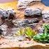 DIY Arid Desert Bioactive Vivarium For Blue Beetles