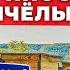 Как живет пчеловод на Кубани и зачем они кочуют Прибыльная пасека Андрей Даниленко