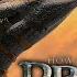 How To Train Your Dragon RECAP Must Watch Before The Live Action Remake