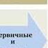 Видео совместного вебинара профессоров Свиридовой Н К и Хаустовой Е А