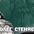 СЕМЕЙНАЯ ДРАМА ЦАРЯ ДАВИДА аудиолекция Протоиерей Олег Стеняев