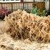 Satisfying Storm Drain Exploration Rescuing Flooded Street With Water Wonders Massive Flooded Street