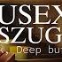 HOUSExY 30 SZUGA Dark Deep But Sexy Minimal Deep Afro House